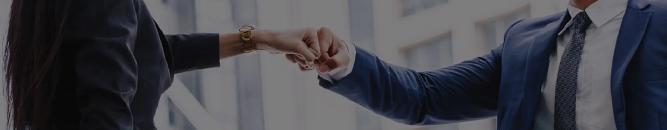 Partner TDS Precision Products