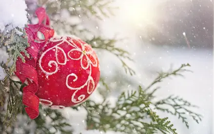 2025 im Rückblick Tannenbaum mit Weihnachtskugel Rot draussen